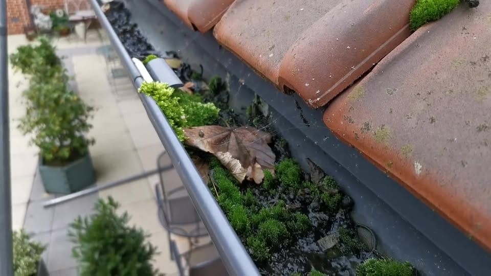 Blocked gutter full of moss